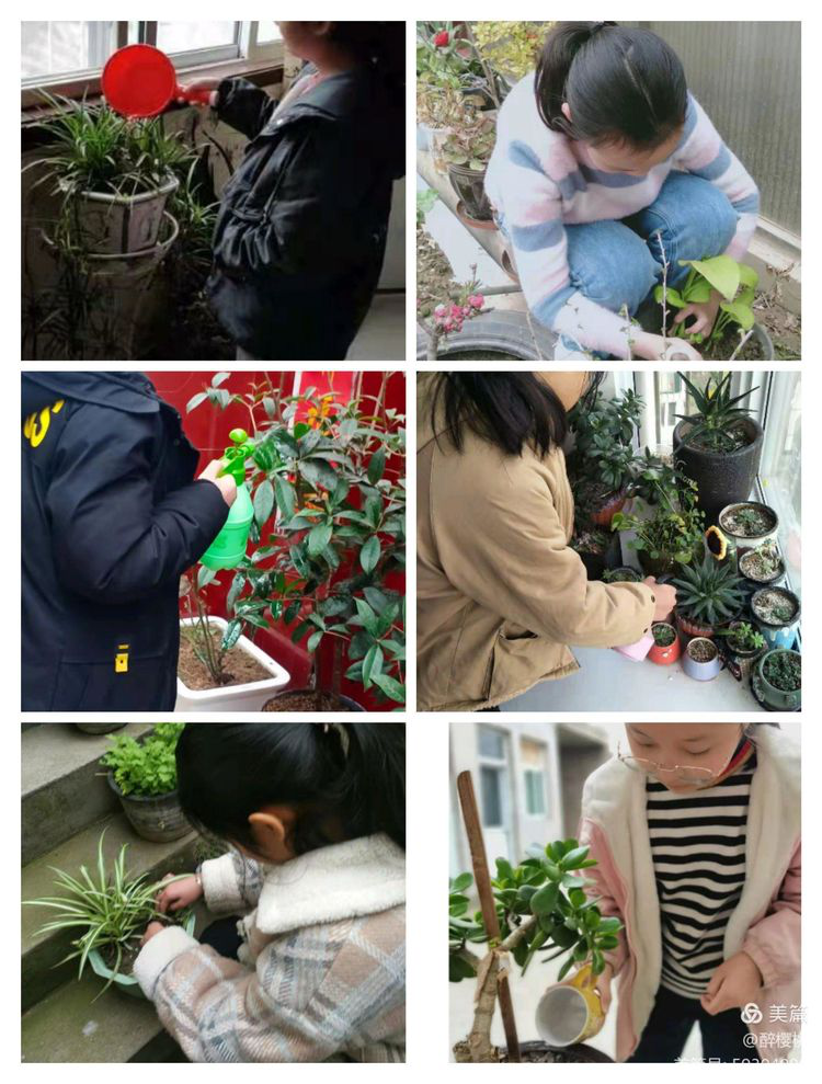 图片12.png