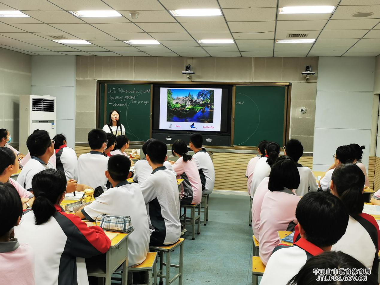 图片31.png