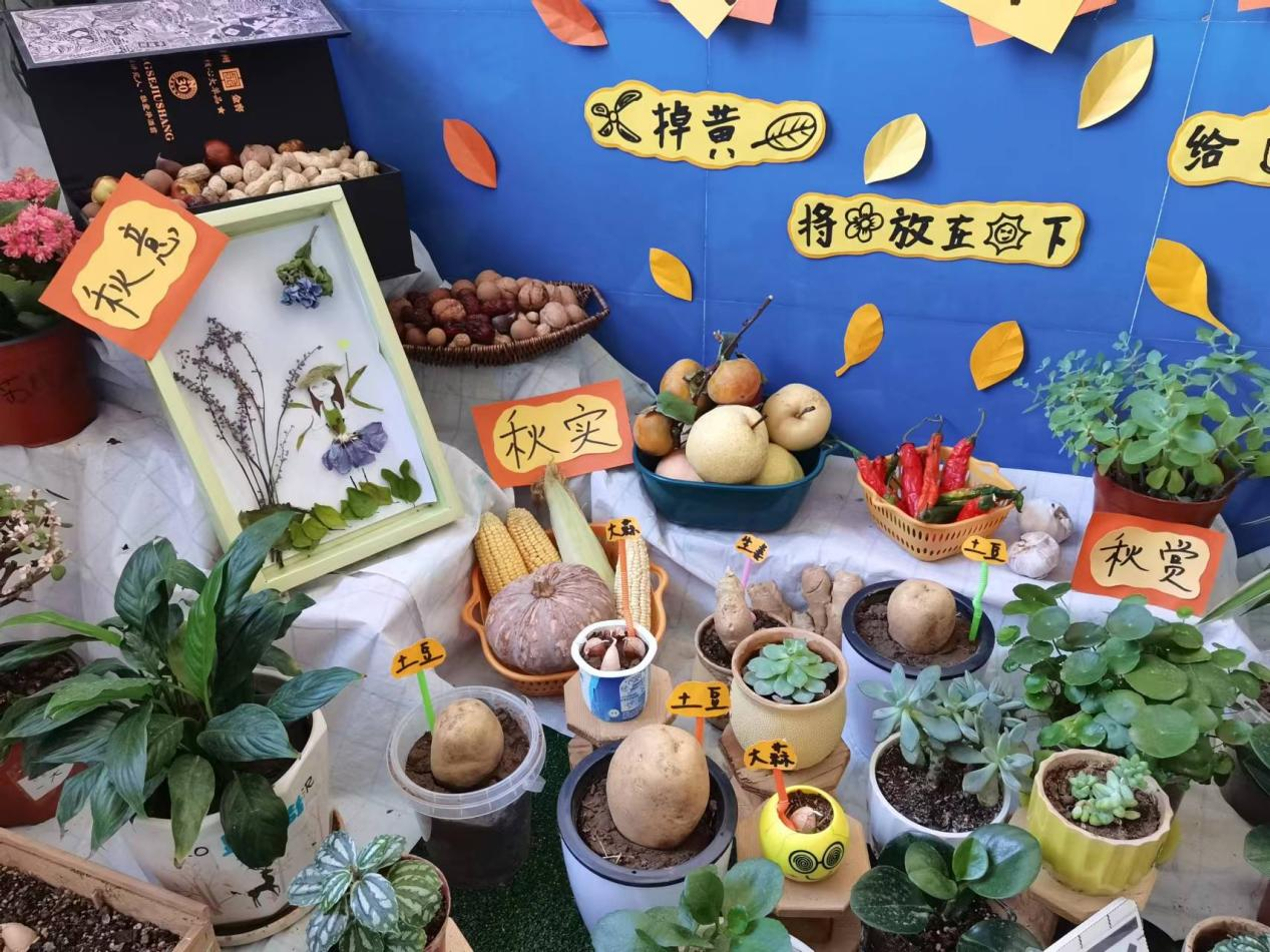 图片7.png