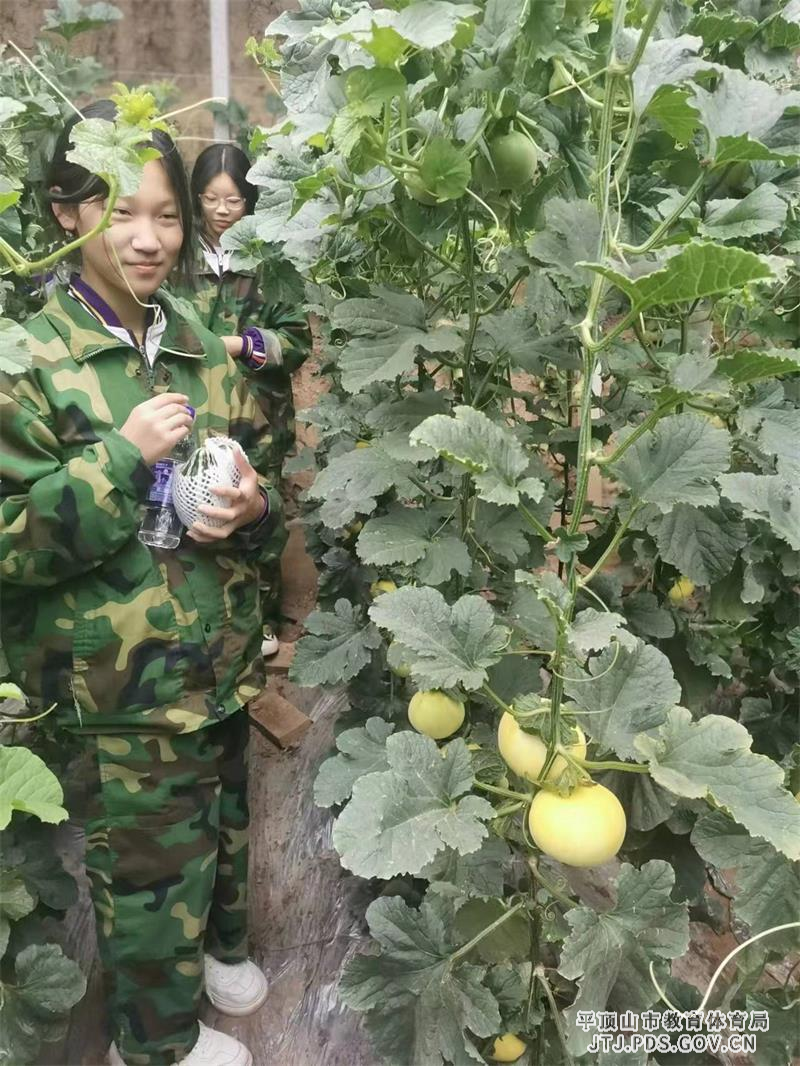 微信图片_20230424073211.jpg